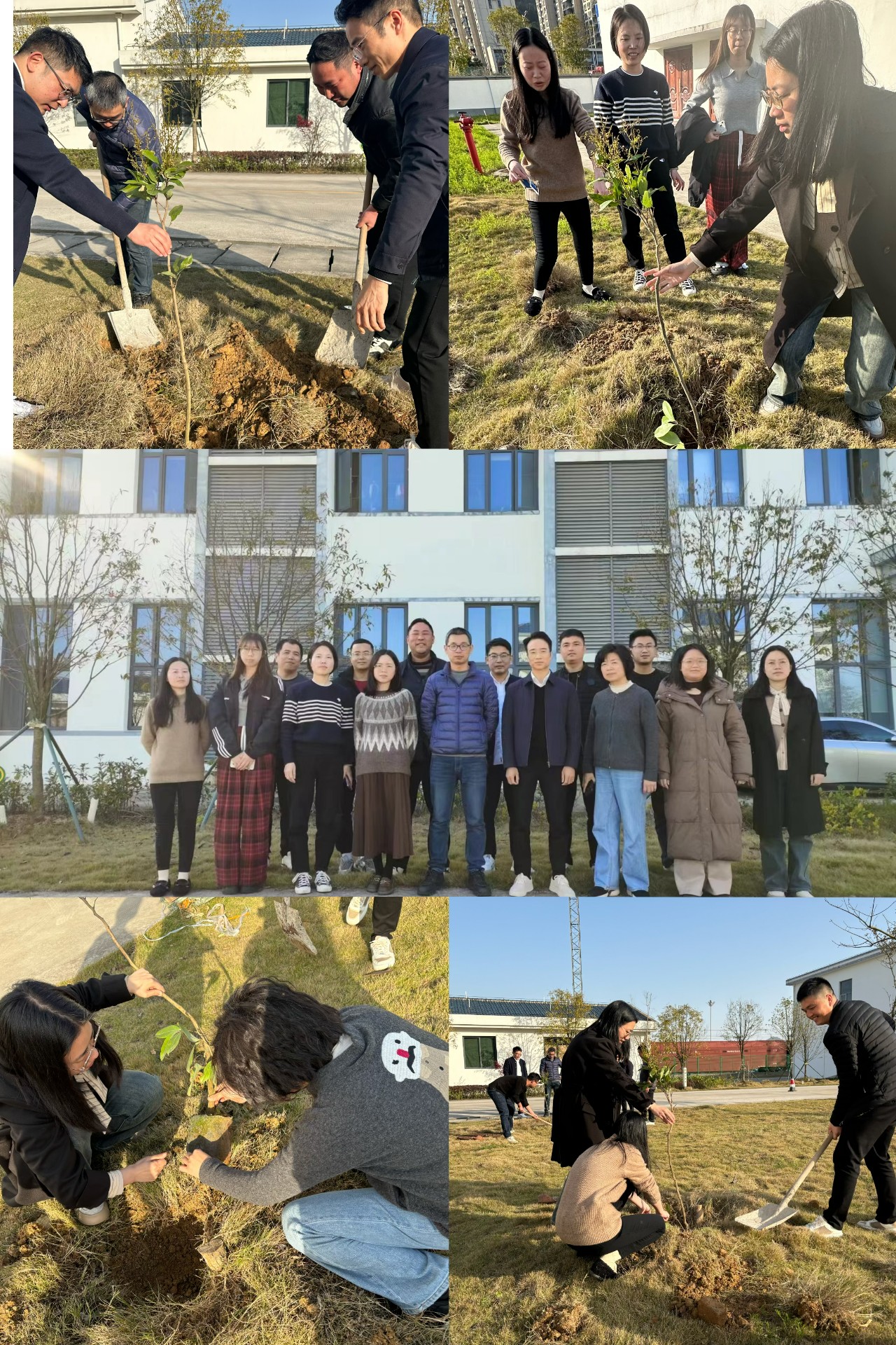 2024-3-12綠色陸港，美麗寧德，阮克妙拍攝.jpg